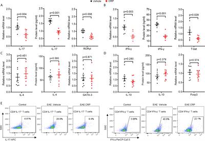 C-Reactive Protein Suppresses the Th17 Response Indirectly by Attenuating the Antigen Presentation Ability of Monocyte Derived Dendritic Cells in Experimental Autoimmune Encephalomyelitis